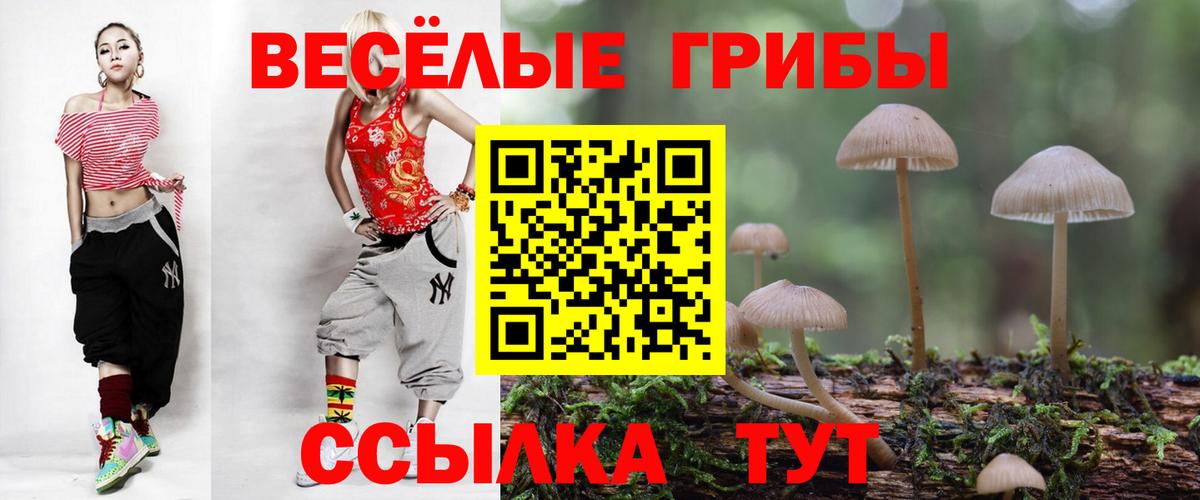 Псилоцибиновые грибы Magic Shrooms  Вход с VPN  где найти   Чусовой 